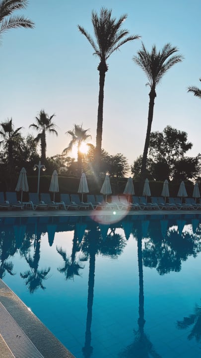 Pool Hotel Delphin Diva