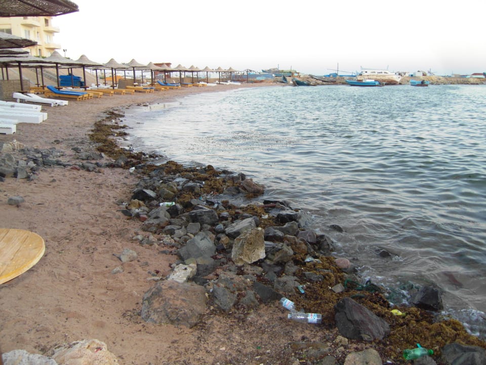 Leider ist es die pure Wahrheit! Royal Star Beach Resort