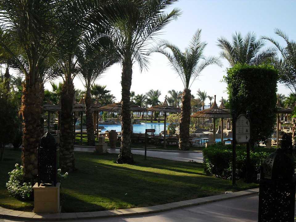 Aussicht aus meinem Zimmer Pickalbatros Palace Resort
