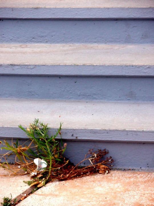 Dreckige Stufen Hovima Costa Adeje - For Cool Adults