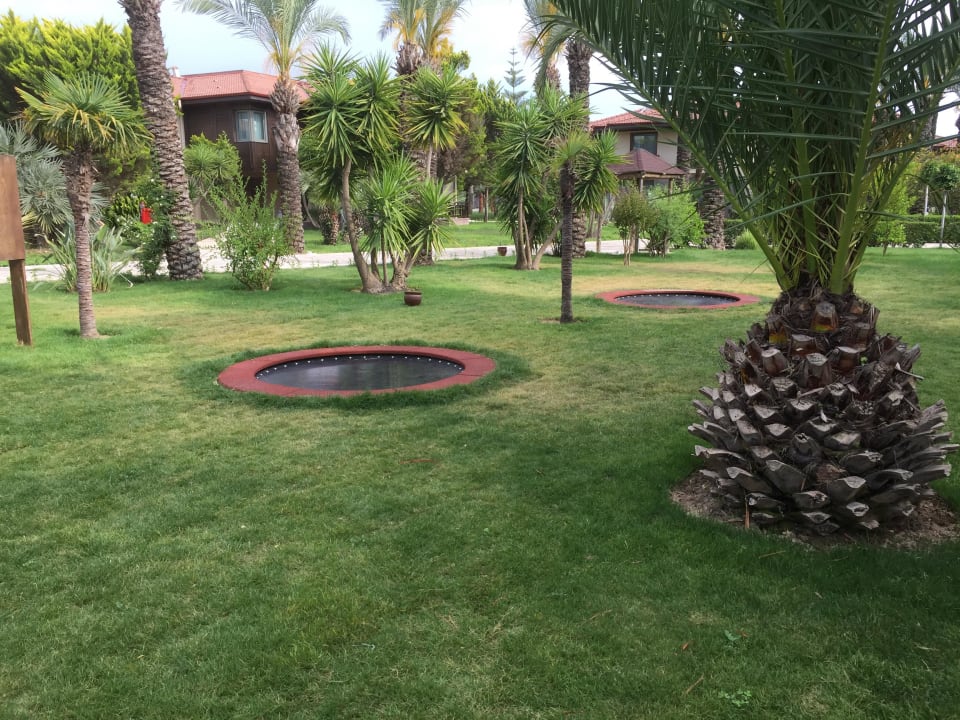 Trampolin TUI BLUE Palm Garden