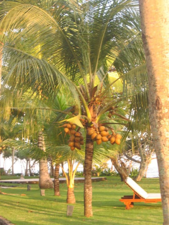 Zwischen Pool und Strand Puri Dajuma Beach Eco-Resort & Spa