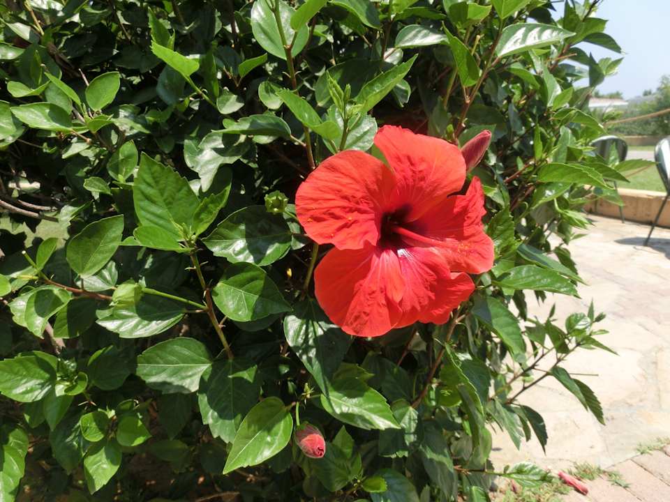 Garten Bella Resort & Spa