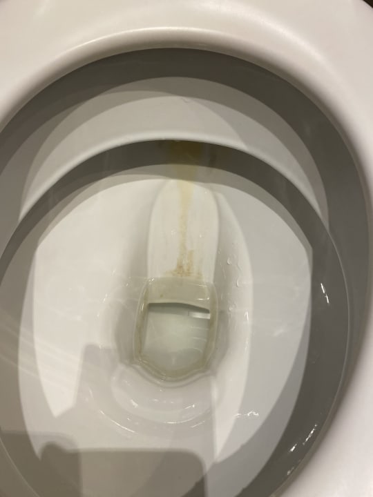 Zimmer Seehotel Litz