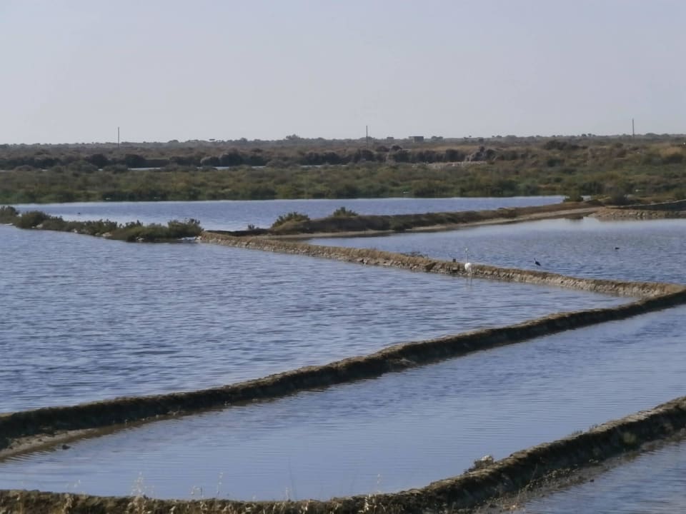Salzbecken hinter dem Hotel Vila Gale Tavira