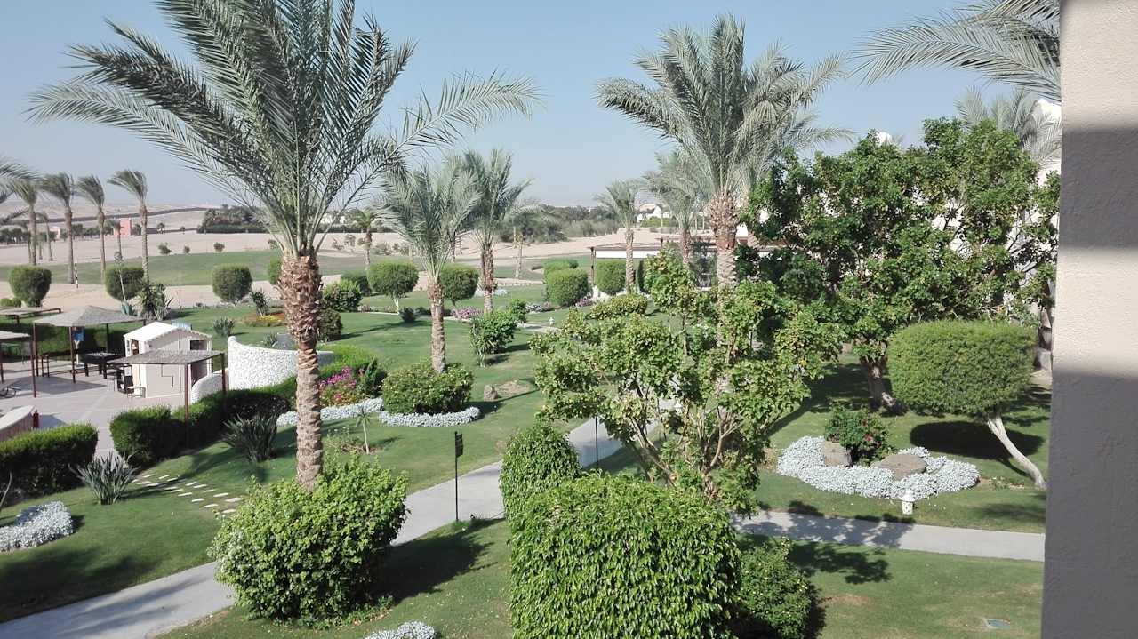 Garten JAZ Neo Saraya Palms