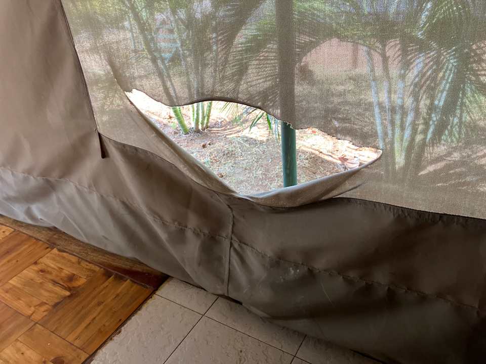 Zimmer BoraBora Wildlife park and Luxury Tented Safari Camp Diani