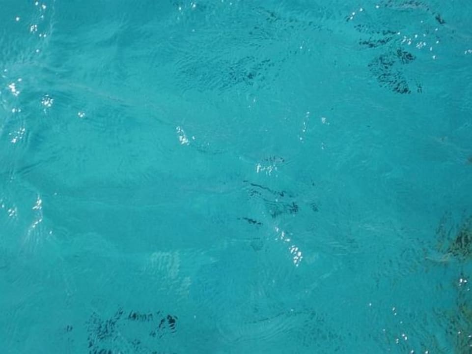 Vorsicht Fische Titanic Beach Spa & Aqua Park