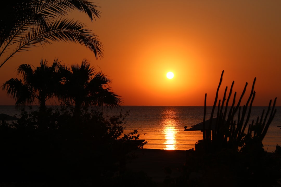 Gartenanlage Shams Prestige Abu Soma-Adults Only