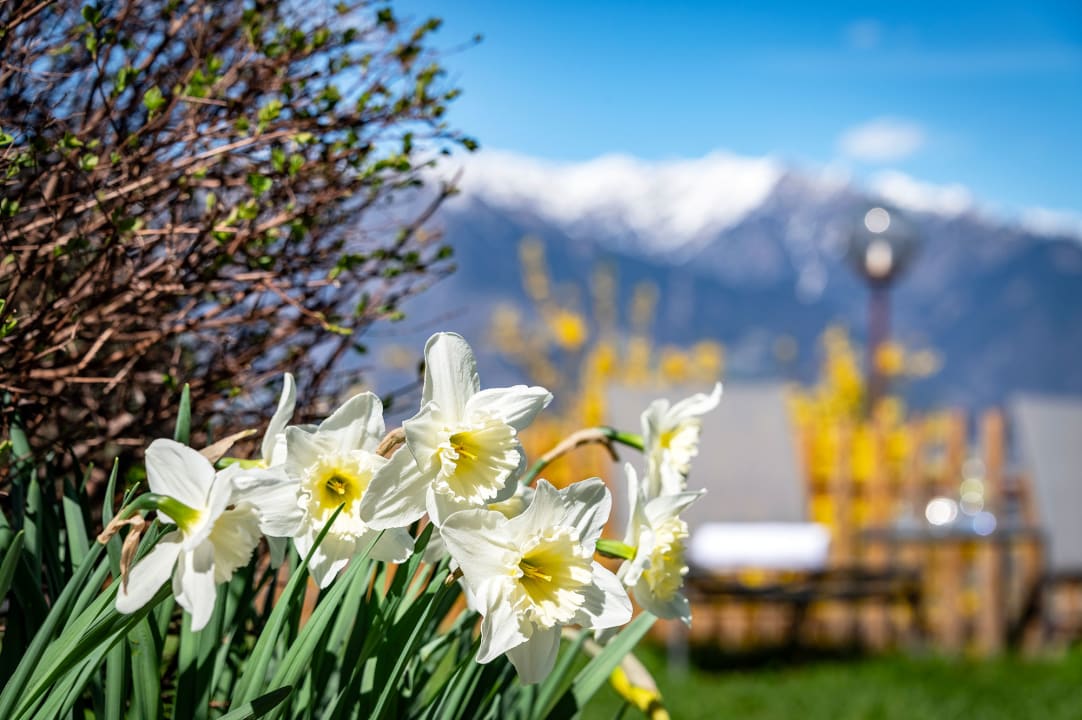 Außenansicht Residence Georgenhöhe