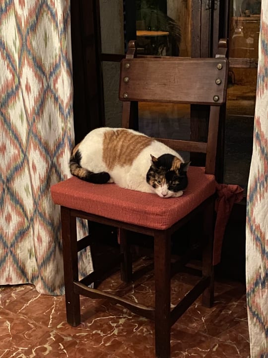 Sonstiges Hotel Finca Raims