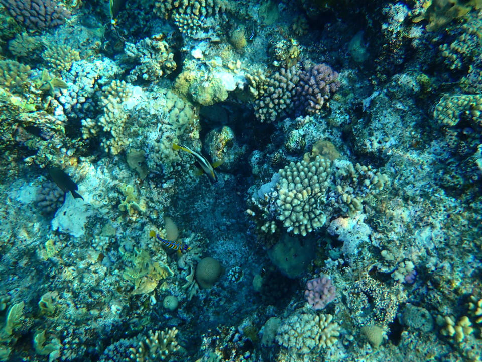 Sport & Freizeit Lazuli Hotel Marsa Alam