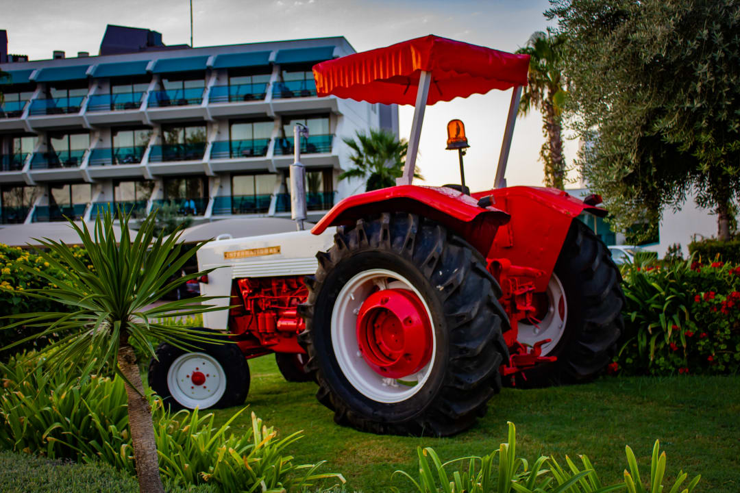 Gartenanlage Side Star Elegance