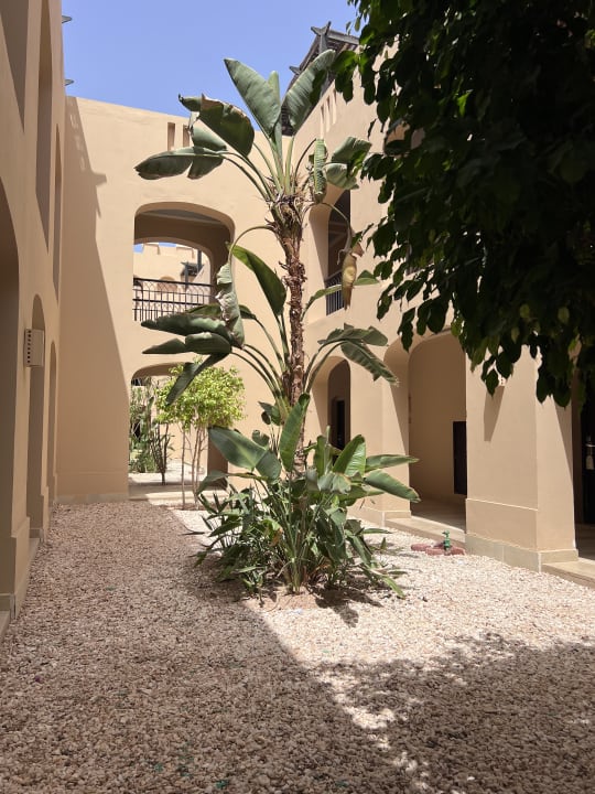Gartenanlage JAZ Aquamarine Resort