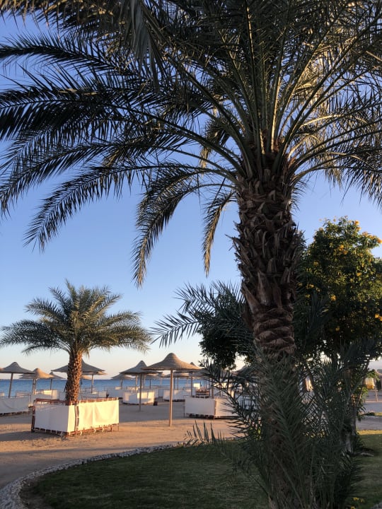 Strand Imperial Shams Abu Soma