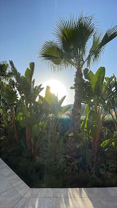 Gartenanlage Zafiro Palace Andratx
