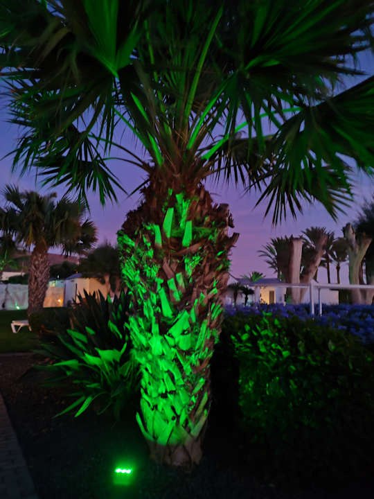 Gartenanlage R2 Bahía Playa Design Hotel & Spa - Adults Only