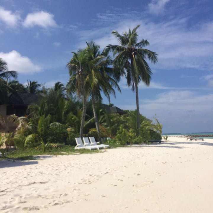 Strand Summer Island Maldives