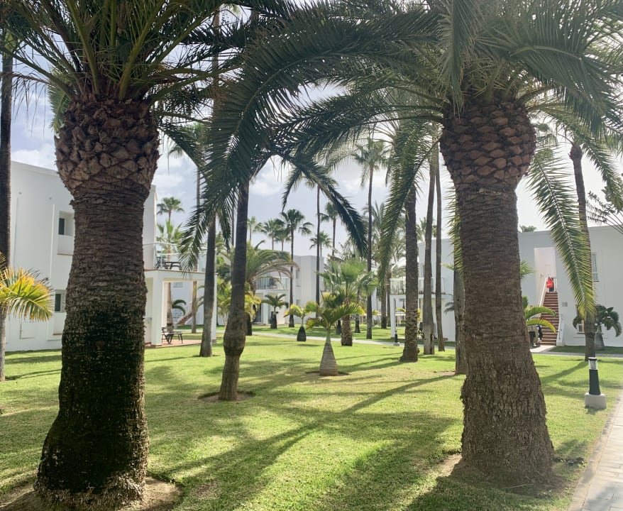 Gartenanlage Hotel Riu Palace Meloneras