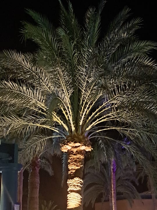 Gartenanlage Club Paradisio El Gouna, Red Sea