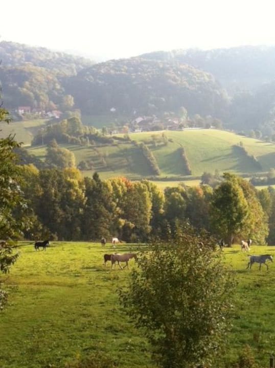 Blick vom Balkon im Herbst Pension Kapellenhof