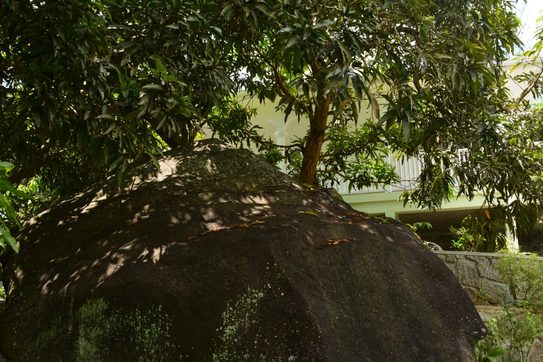 Gartenanlage Chalets Petit Baie