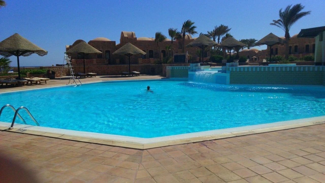 Immer freie Liegen, niemand "reserviert"!!! Mövenpick Resort El Quseir