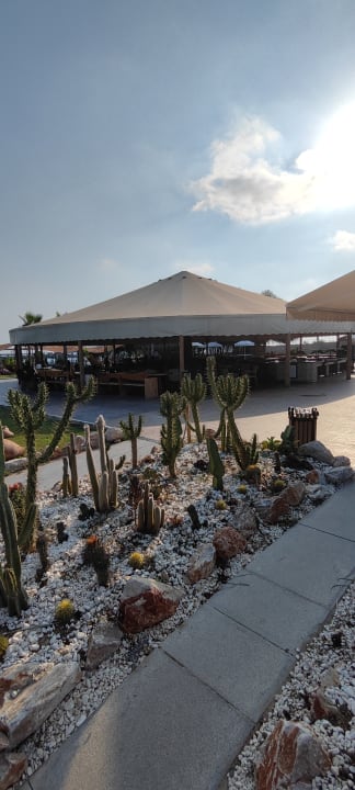 Gastro Dream Water World