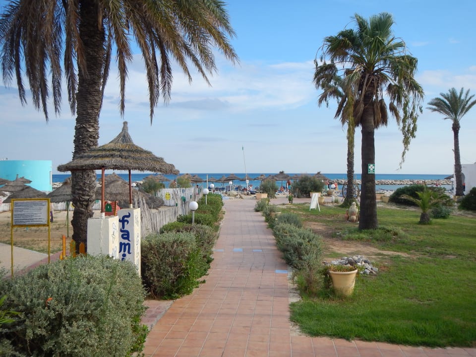 Vom Pool zum Strand Royal Lido Resort & Spa