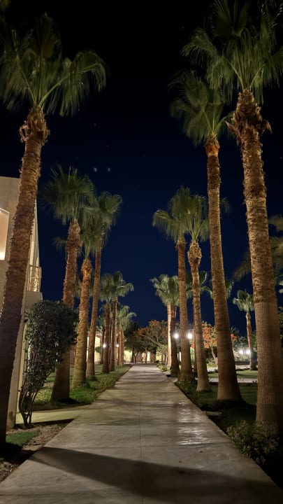 Gartenanlage Brayka Bay Resort