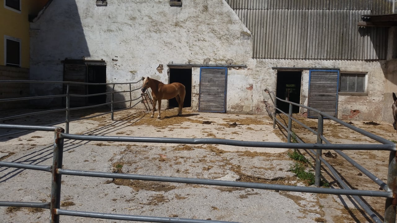 Außenansicht Hotel Reiterhof Altmühlsee