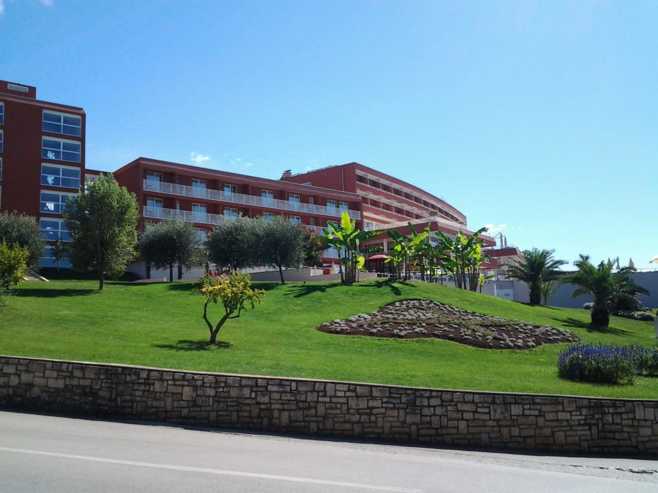Alles sehr gepflegt und sauber Hotel Albatros Plava Laguna