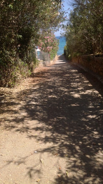 Der Weg zum Strand Sentido Kyknos Beach Adults Only 16+