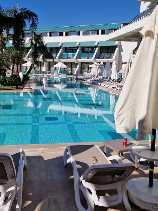 Pool Side Star Elegance