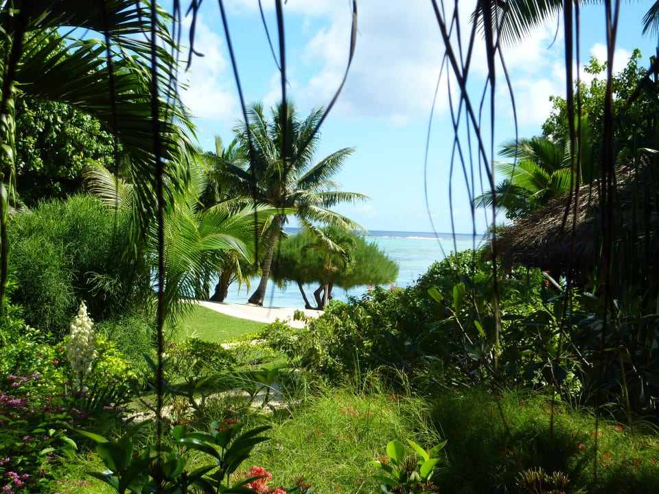 Ein traumhafter Garten Hotel Etu Moana