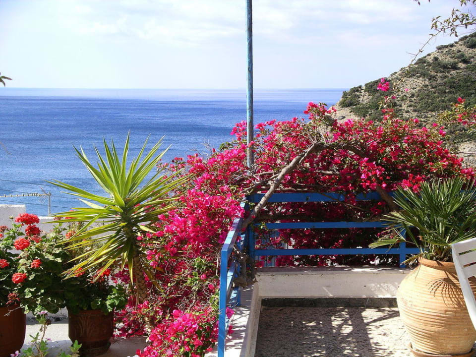 Hotel Hariklia - sea view Hotel Hariklia