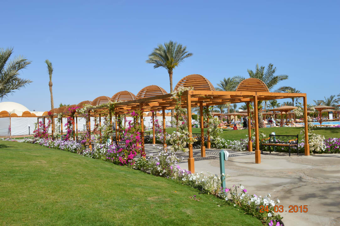 Территория Desert Rose