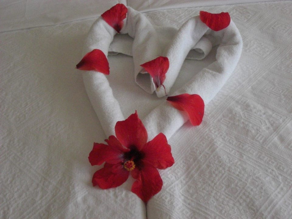 Ein Gruß vom Zimmermädchen Labranda Alantur Resort