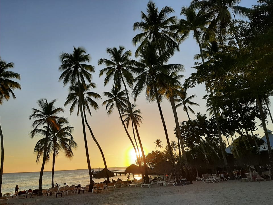 Strand Dreams La Romana Resort & Spa