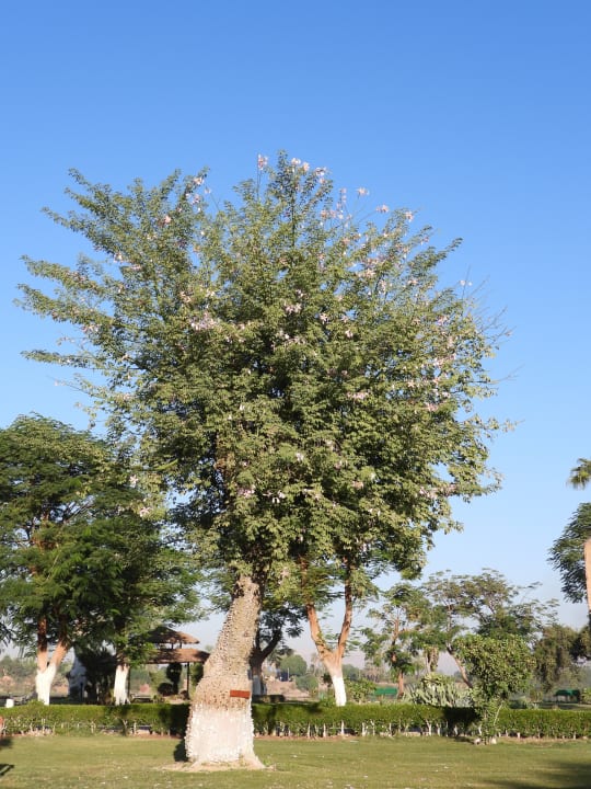 Außenansicht Jolie Ville Kings Island Luxor