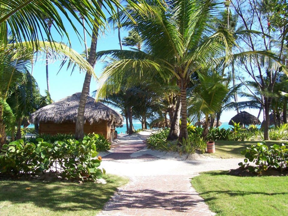 Weg zum Strand Hotel Grand Palladium Palace Resort, Spa & Casino