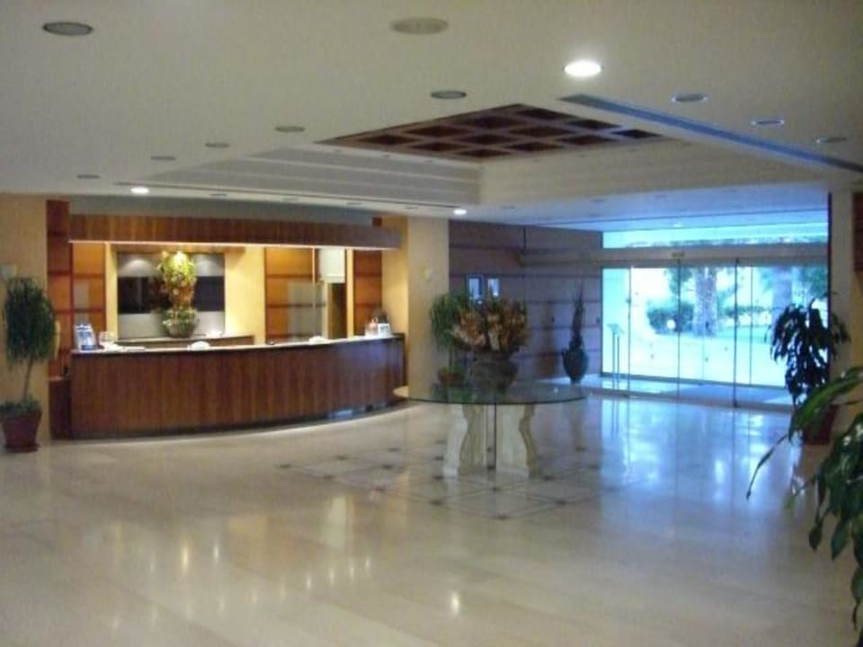 Eingang (Rezeption) Hotel Calypso Beach