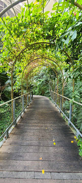 Gartenanlage Tropical Islands Resort