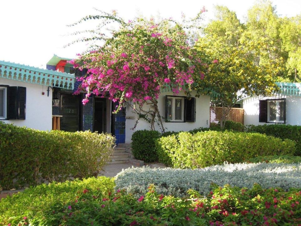 Unser Bungalow Ghazala Beach