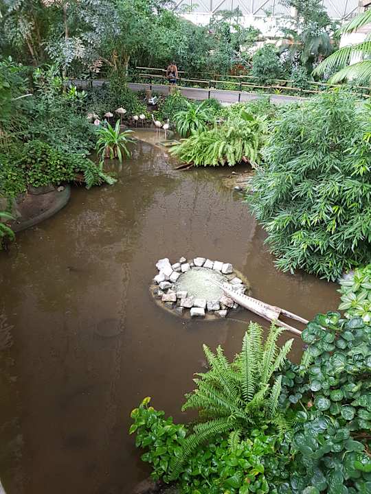 Gartenanlage Tropical Islands Resort