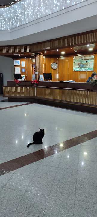 Lobby Relaxia Olivina