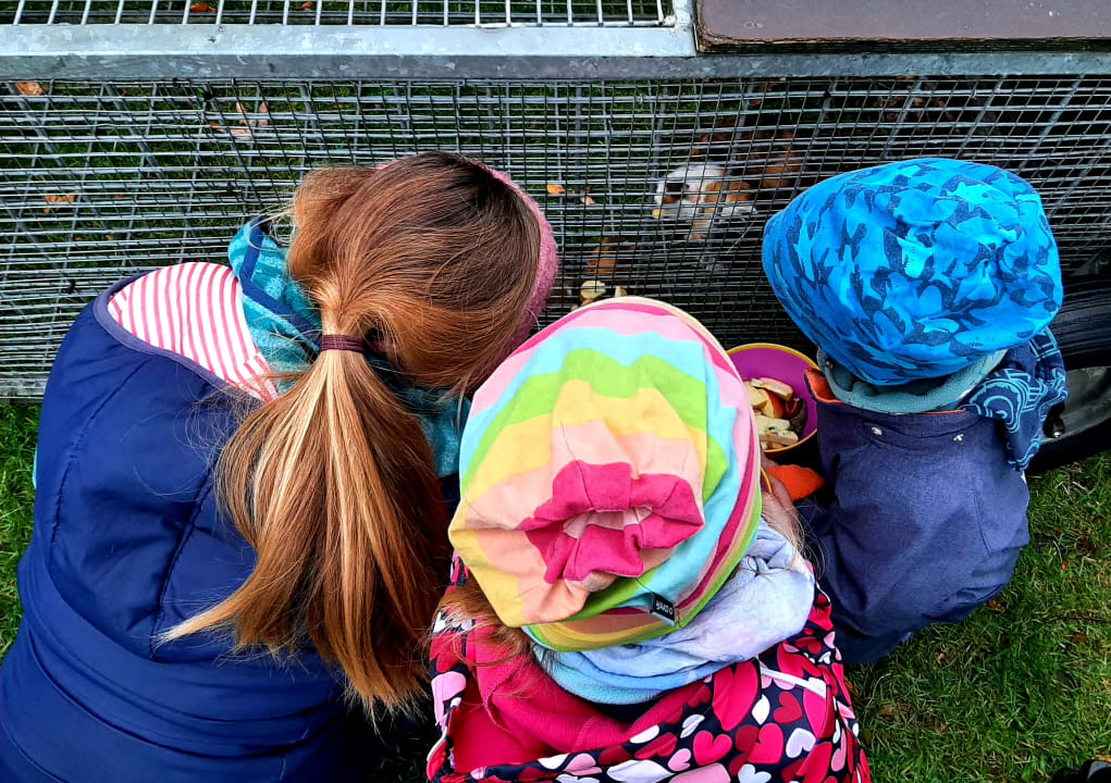 Gartenanlage Ferienbauernhof Liesenberg mit Meerblick