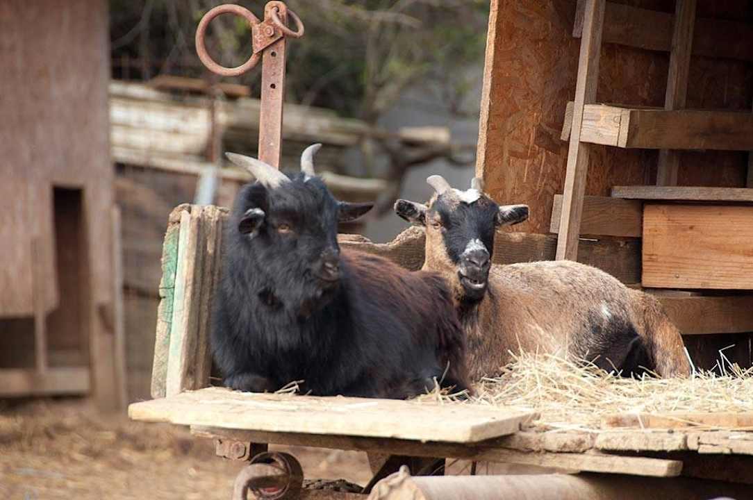 Arkadenhof Arkadenhof Familie Flasch
