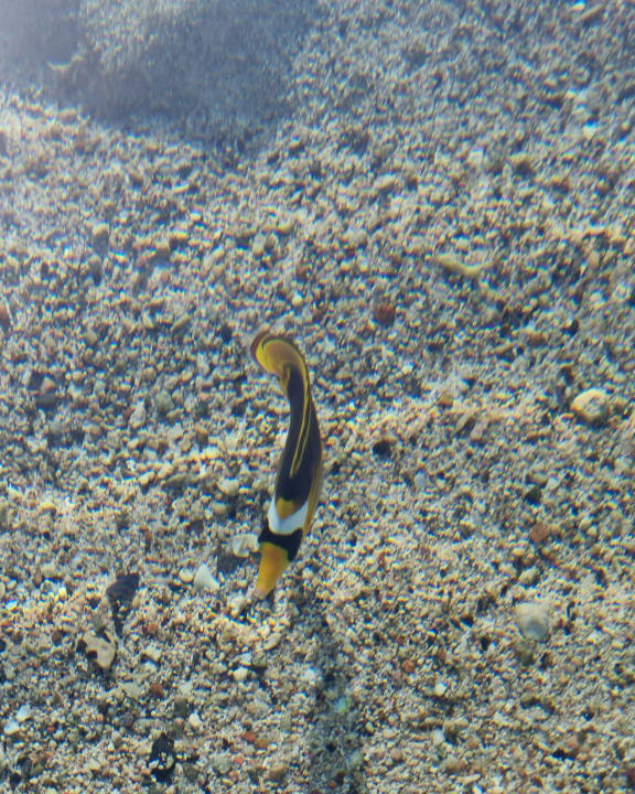 Strand Three Corners Sea Beach Resort