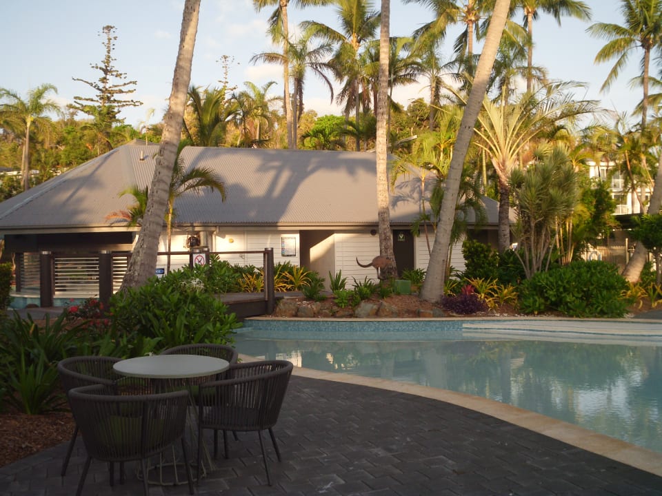 Pool Daydream Island Resort and Spa